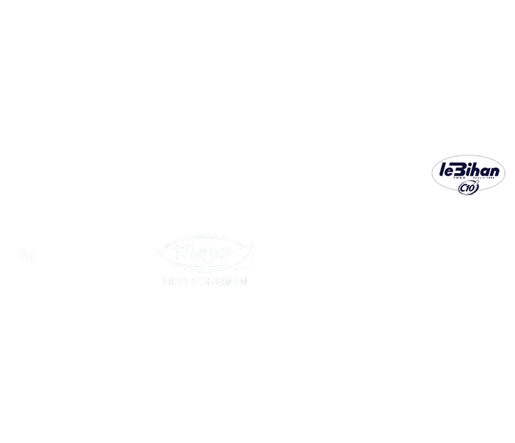 Liste des sponsors équipes féminines
