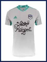 Maillot Gardien Gris Adulte 20-21