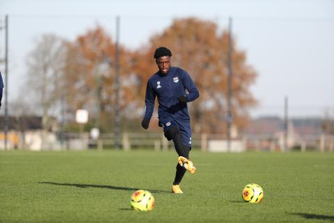 Josh Maja