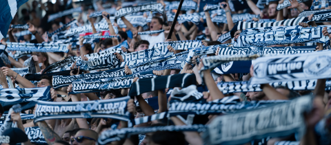Supporters